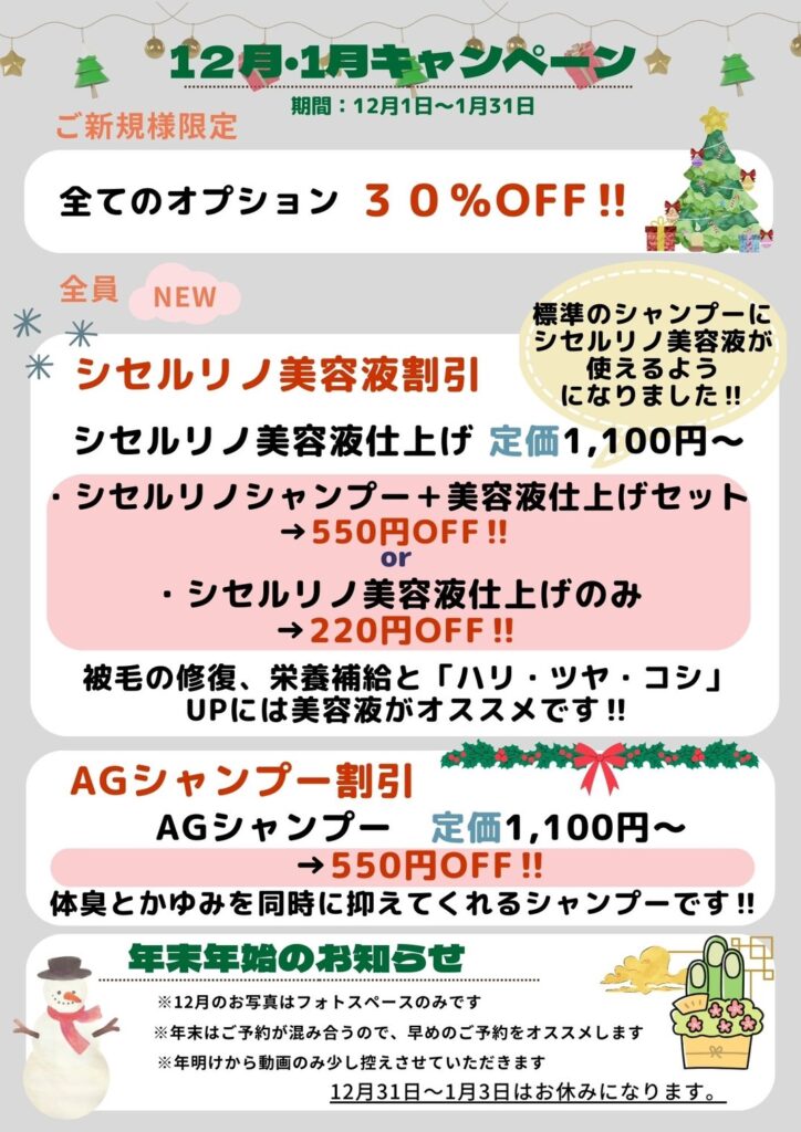 12月・1月のキャンペーン
